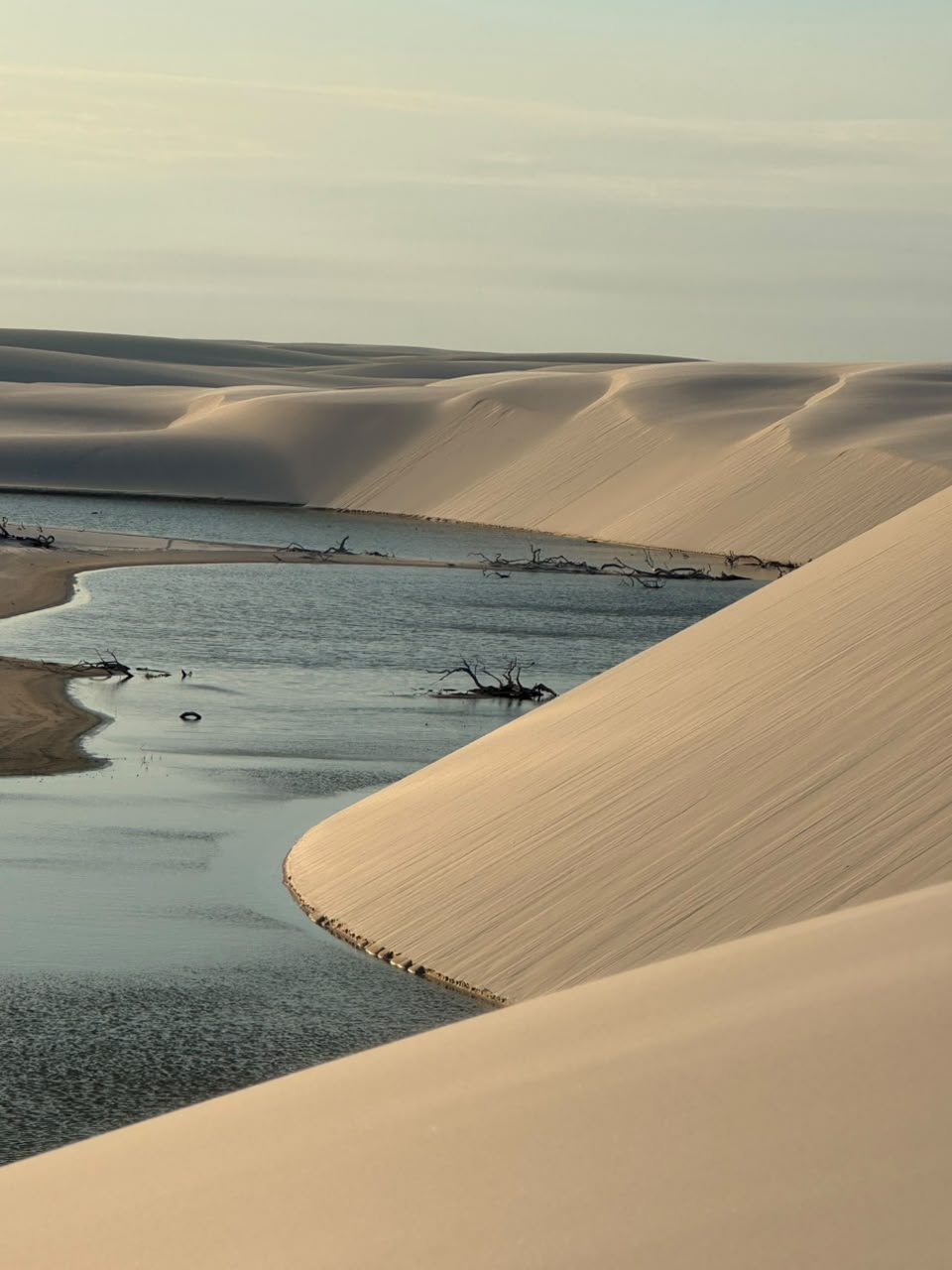 Duna alta à beira de lagoa no fim de tarde